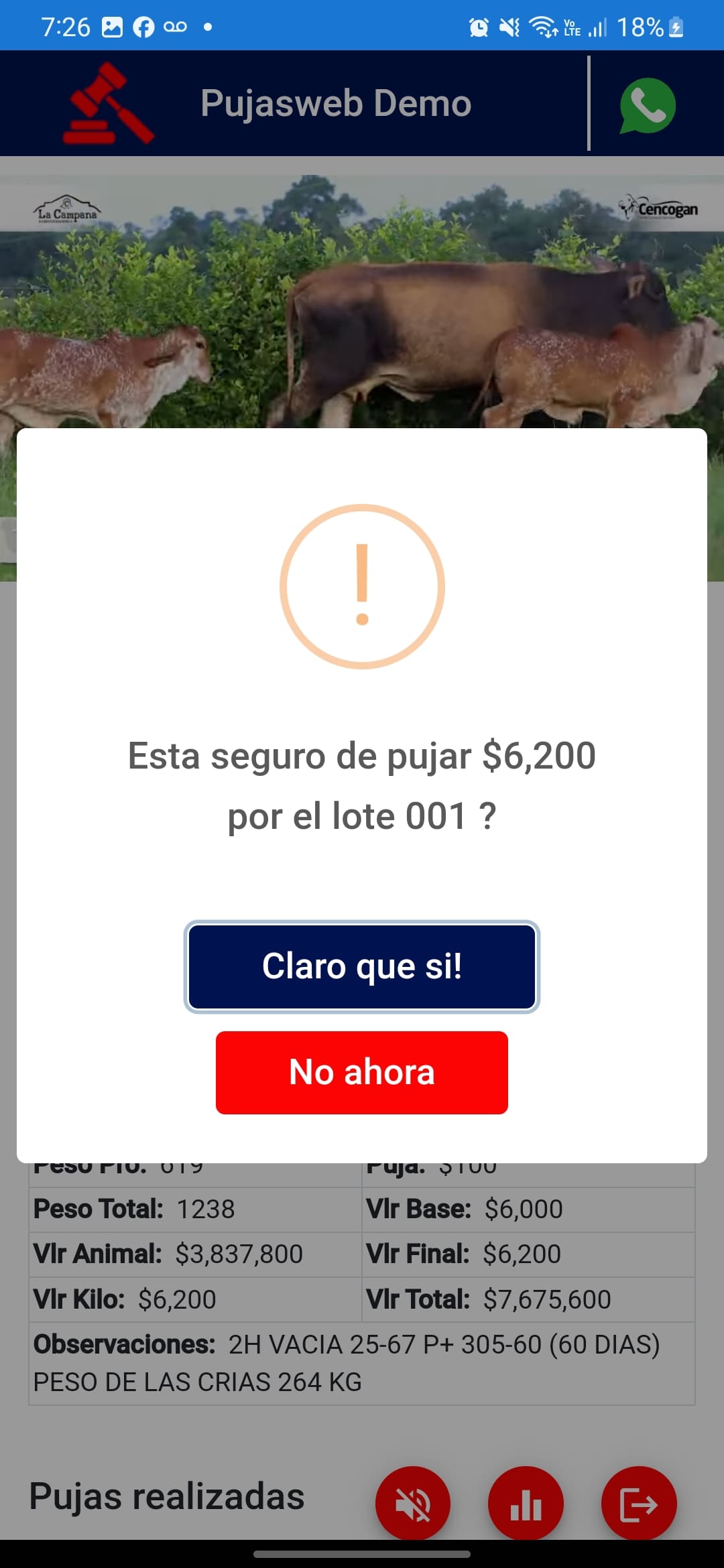  Confirmación de Puja