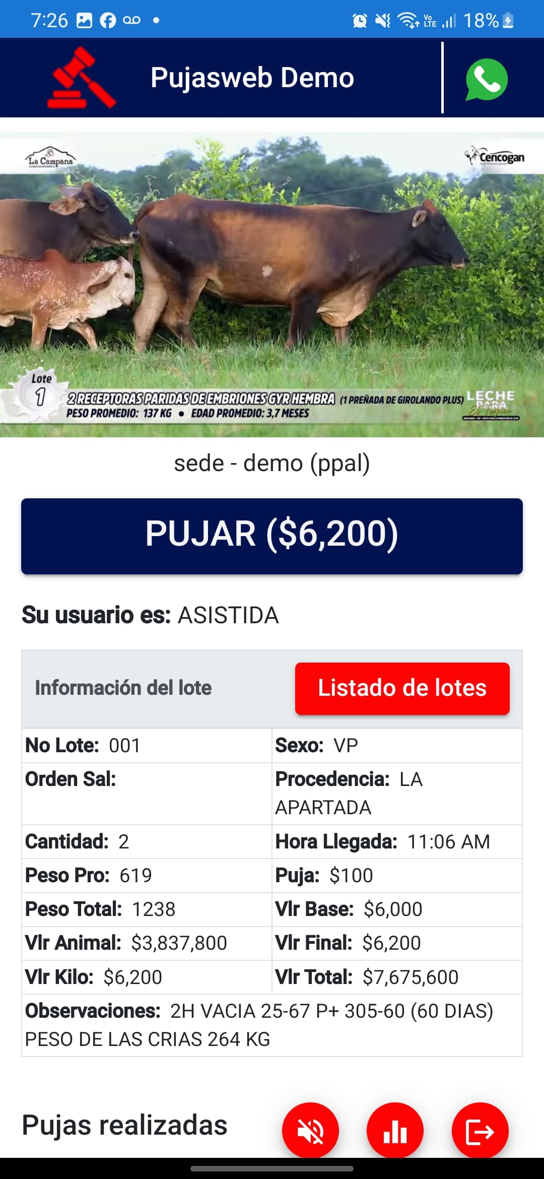  Información y Video