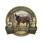 Subasta Gnadera de San Carlos Antioquia